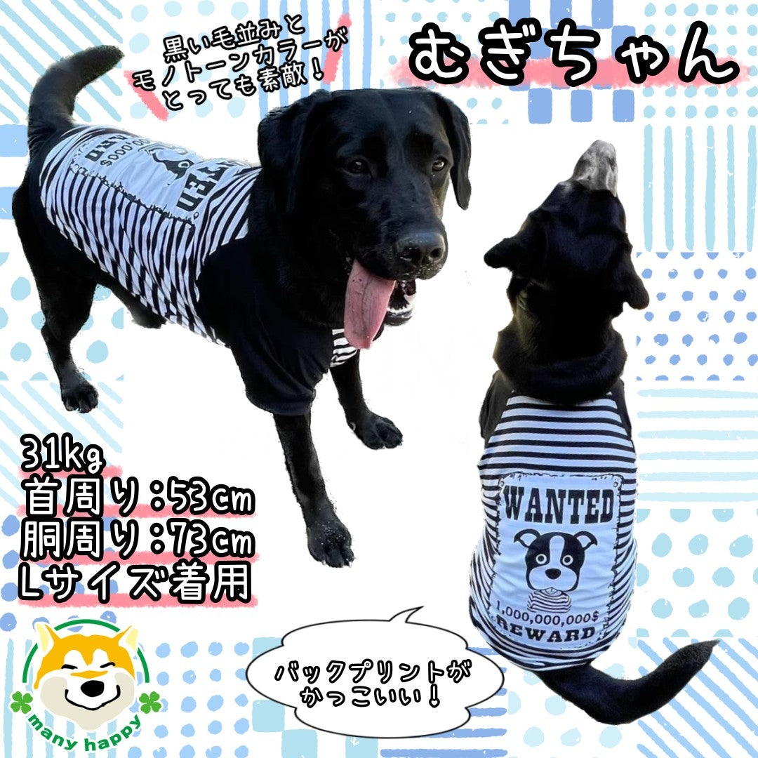 黒　白　ボーダーの犬の服 大型犬用 犬 服 春夏 半袖 可愛い タンク Tシャツ 赤と黒 白と黒