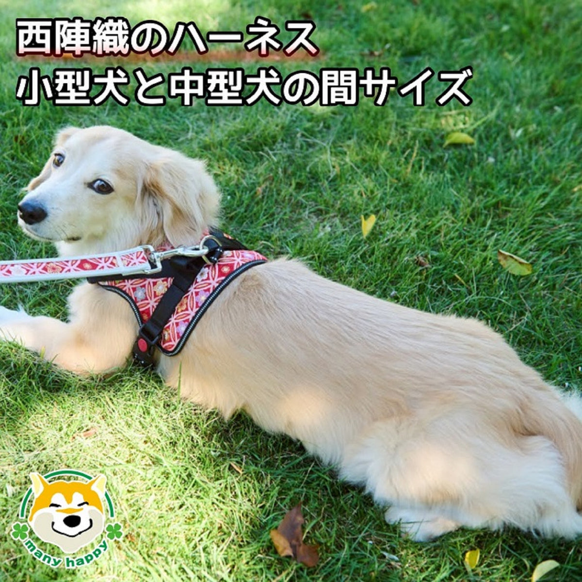 京都西陣織で作った犬の和柄ハーネス 小型犬と中型犬の間の
