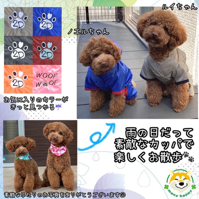 We also have raincoats for small dogs with hood, 4-legged type, medium-sized dogs, and large-sized dogs!