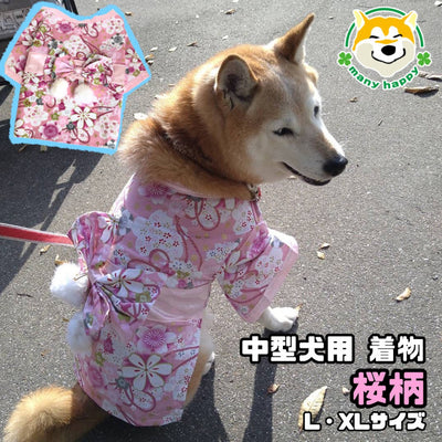 [For medium-sized dogs] Easy-to-dress cherry blossom kimono XL size in stock