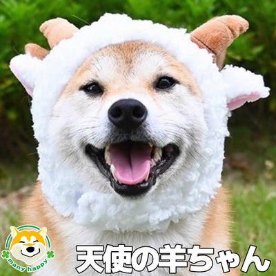 新商品！！天使の羊ちゃんとなりきりデビル お帽子が入荷しました！数量限定です