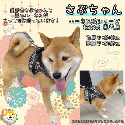 Harness for medium-sized dogs Reindeer T-shirt Introducing Shiba Inu member Sabu-chan (^^♪