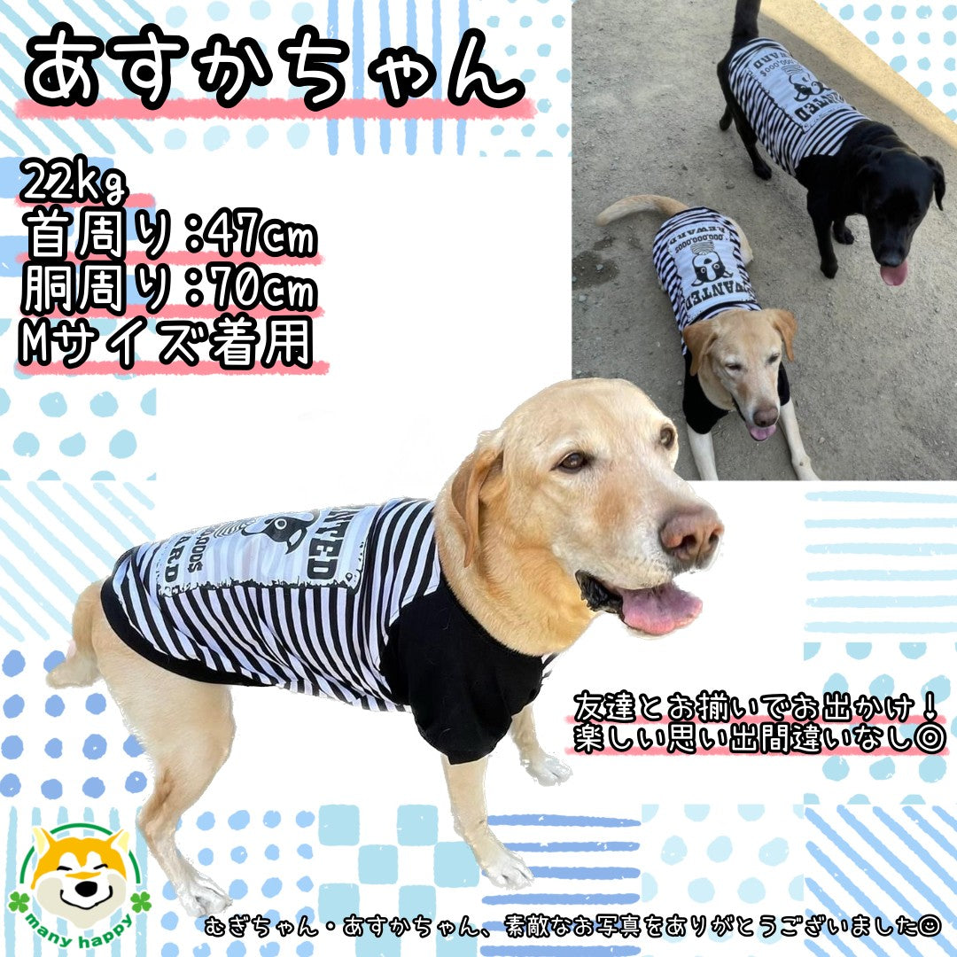 大型犬用 犬 服 春夏 半袖 可愛い タンク Tシャツ 赤と黒 白と黒