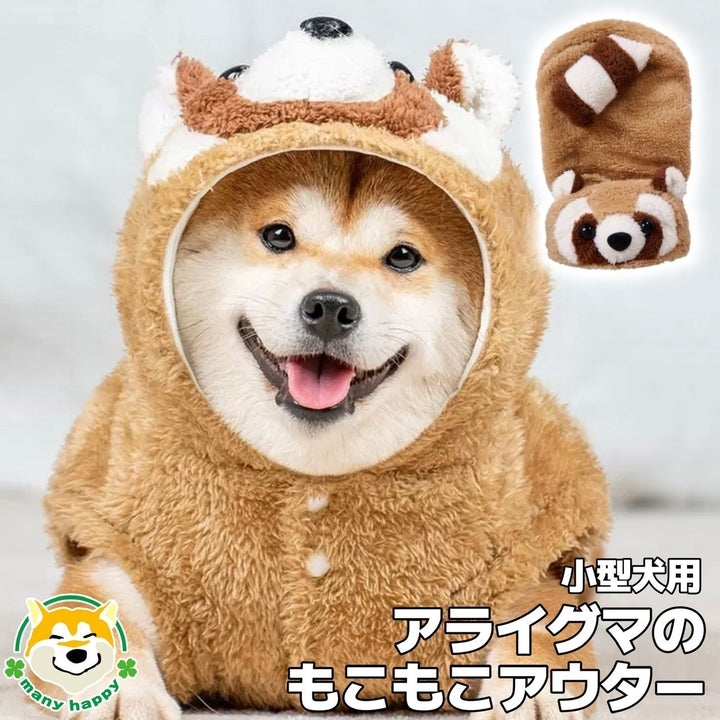TOP_bfb7bd2c-a5d2-482e-9ee8-