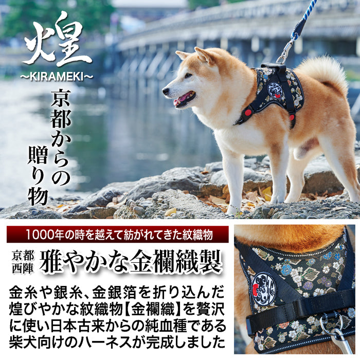 煌～KIRAMEKI～【 柴犬用 和柄ハーネス 】京都西陣織で作った