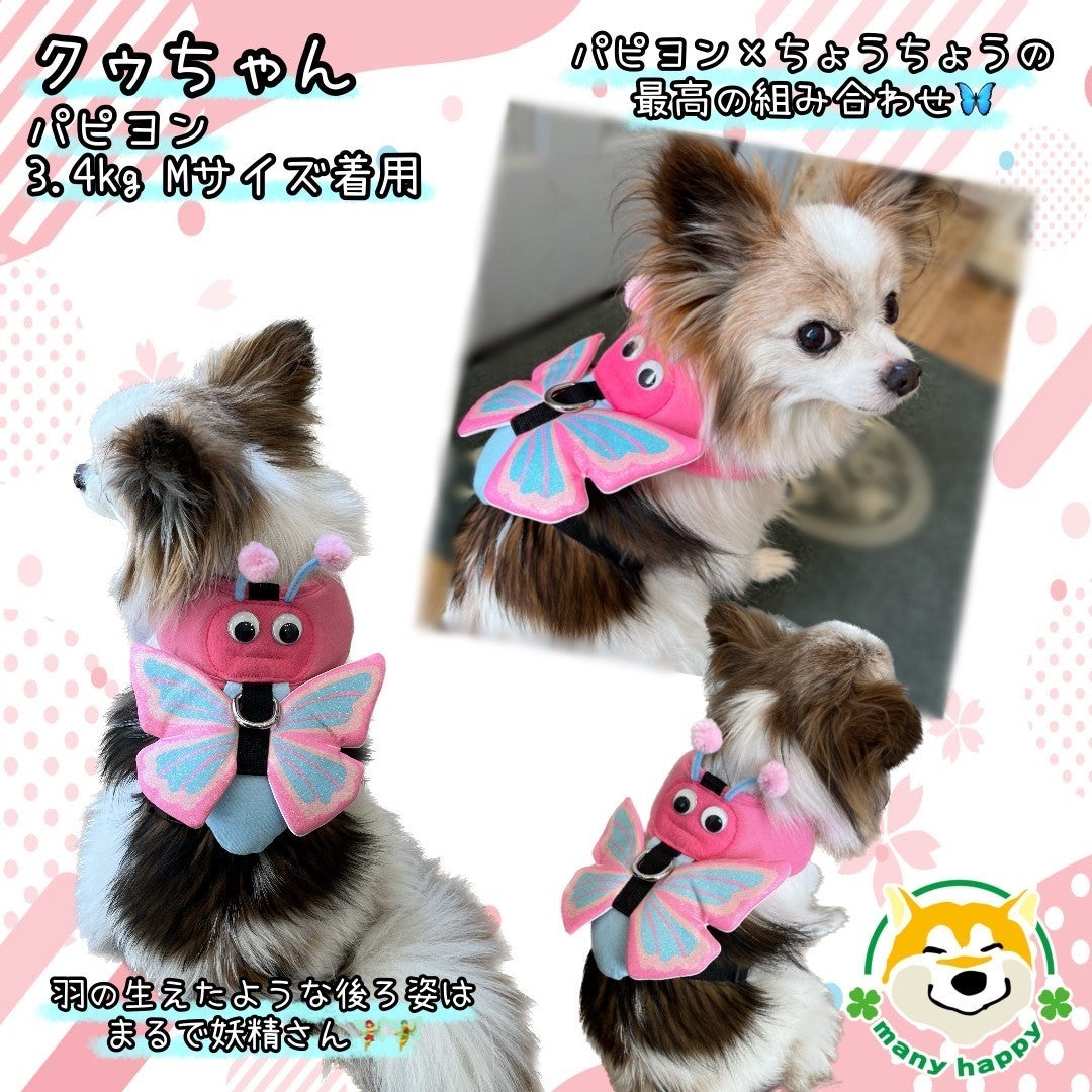 蝶と犬 蝶と犬 蝶と犬 蝶と犬 Yahoo!オークション - Z/X ゼクス 蝶ヶ