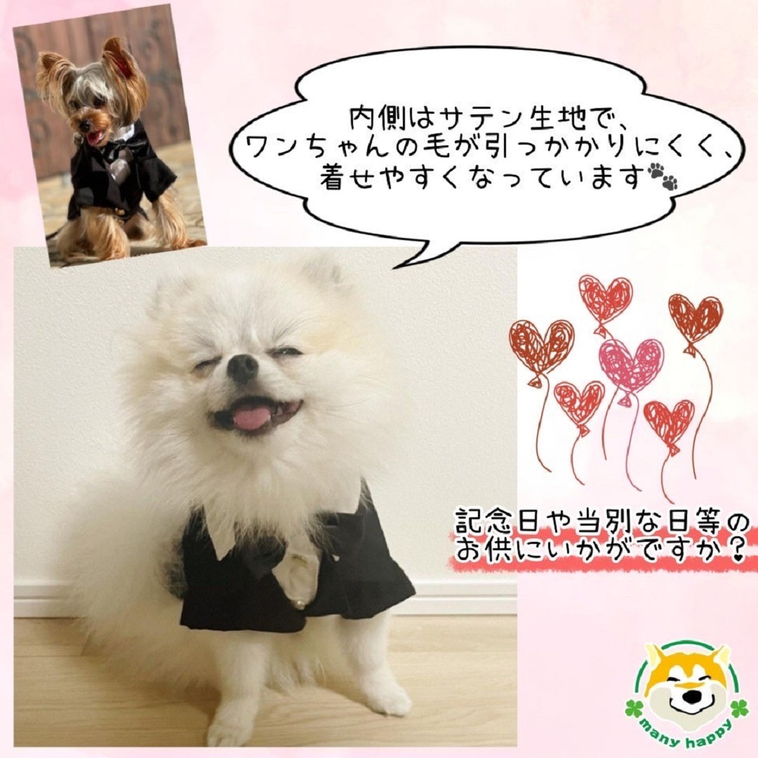 小型犬用 ブラックタキシード 黒のネクタイと蝶ネクタイ付き – 柴犬