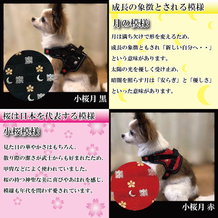 【花子な⁀➷掲示板】犬服 手編み 原則‼️受信専用ᐡᴖᴥᴖᐡฅ掲示板 花子な⁀➷掲示板】犬服 手編み 原則‼️受信専用ᐡᴖᴥᴖᐡฅ