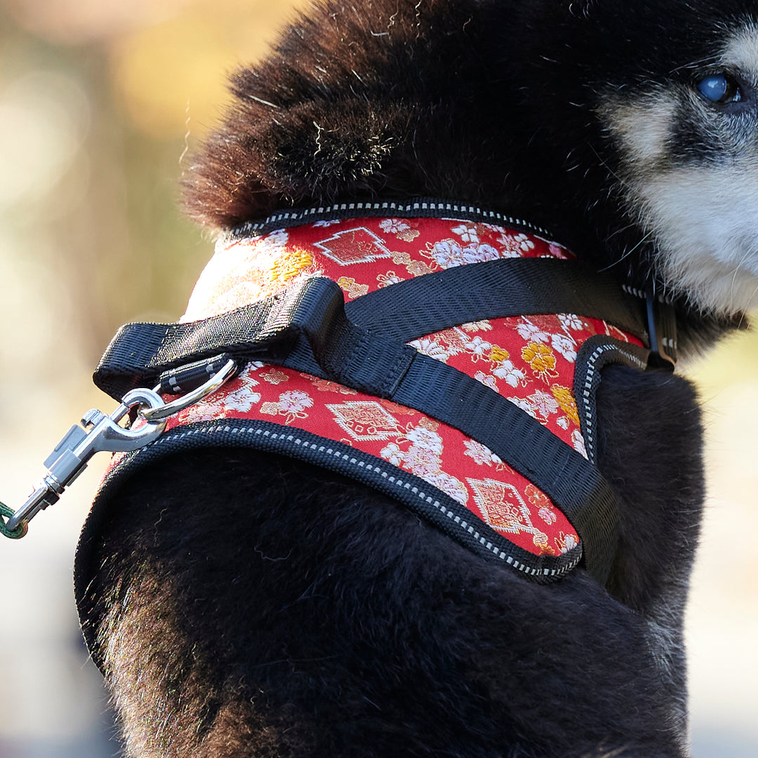 煌~KIRAMEKI~【 柴犬用 和柄ハーネス 】京都西陣織で作った 煌~KIRAMEKI~【 柴犬用 和柄ハーネス 】京都西陣織で作った