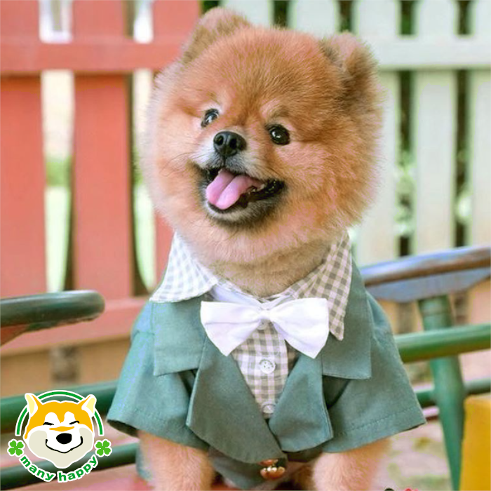 中型犬用 モスグリーンタキシード 白のネクタイと蝶ネクタイ付き