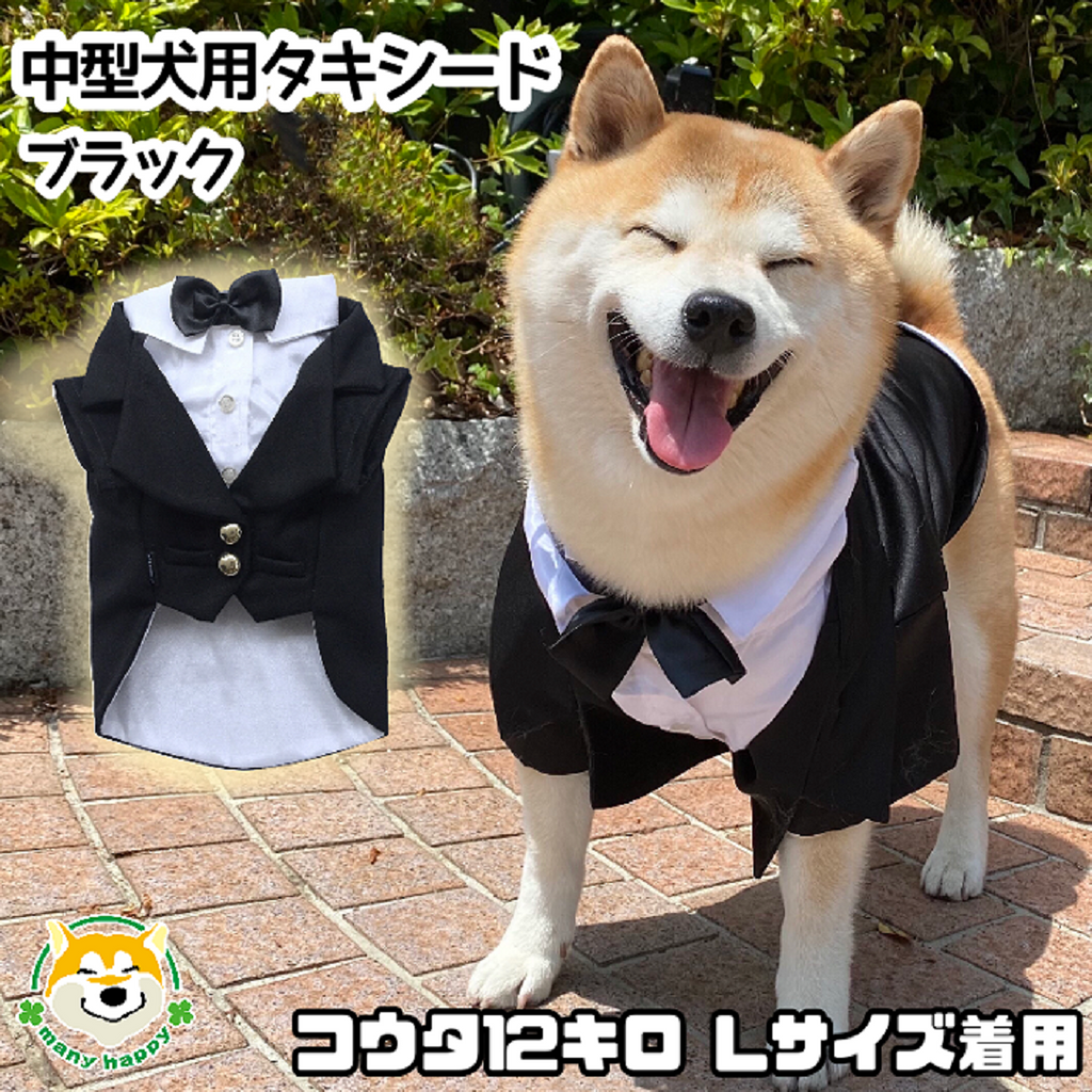 ペット ネクタイ 黒星 30〜46cm 【公式通販】