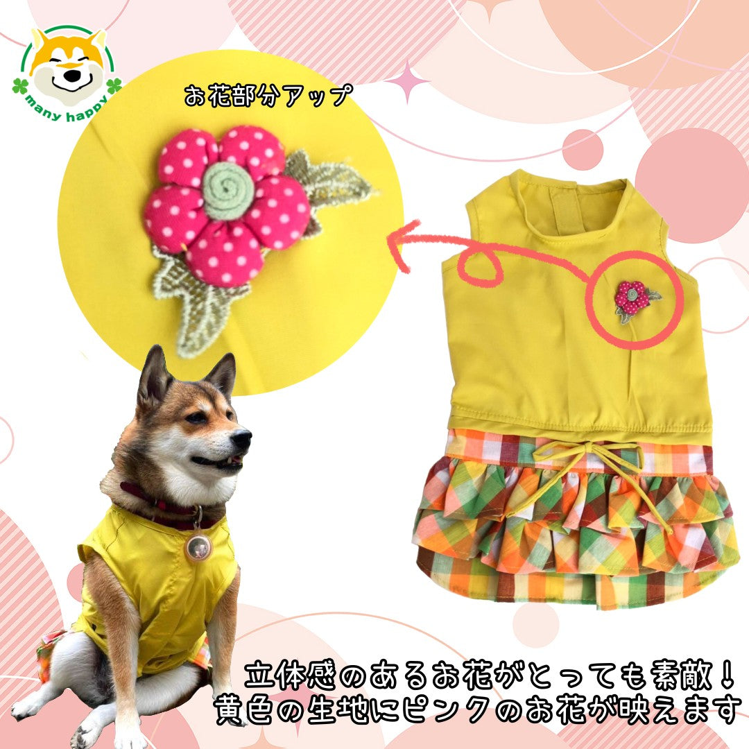 犬服 S わんこの普段着おばけ
