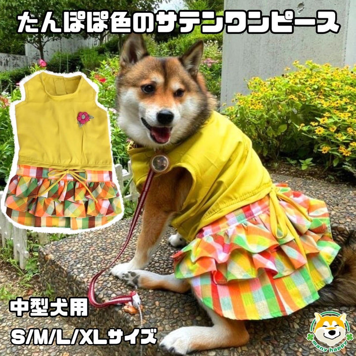 犬服 M わんこの普段着 たんぽぽ 犬服 SS わんこの普段着ポップアニマル