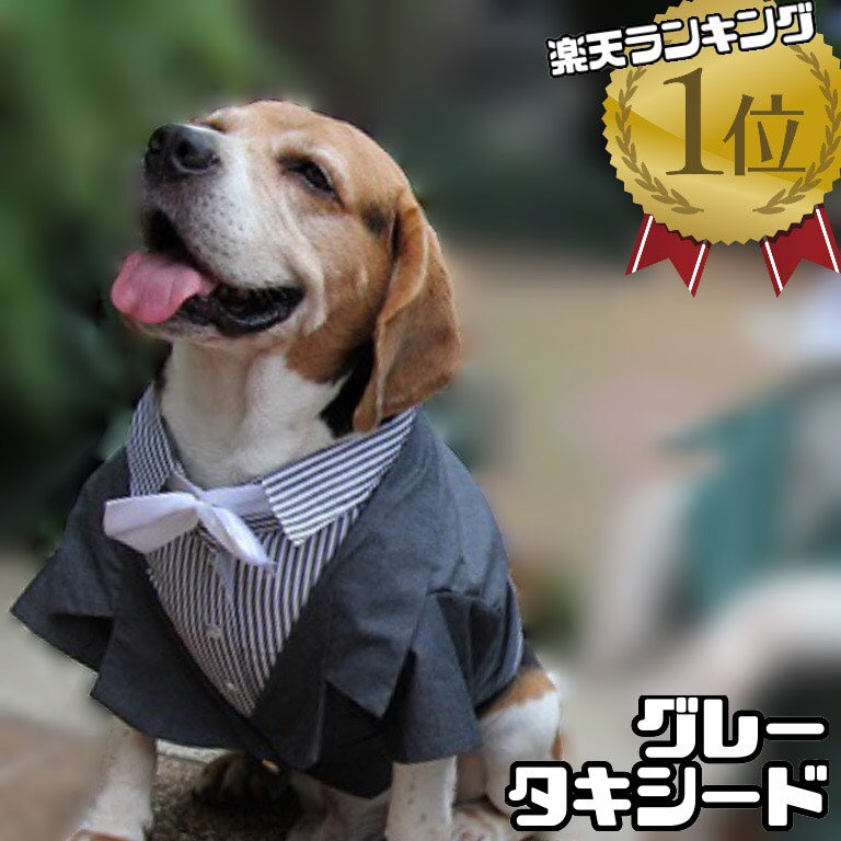 中型犬用 グレータキシード 白のネクタイと蝶ネクタイ付き – 柴犬 中型犬用 グレータキシード 白のネクタイと蝶ネクタイ付き – 柴犬